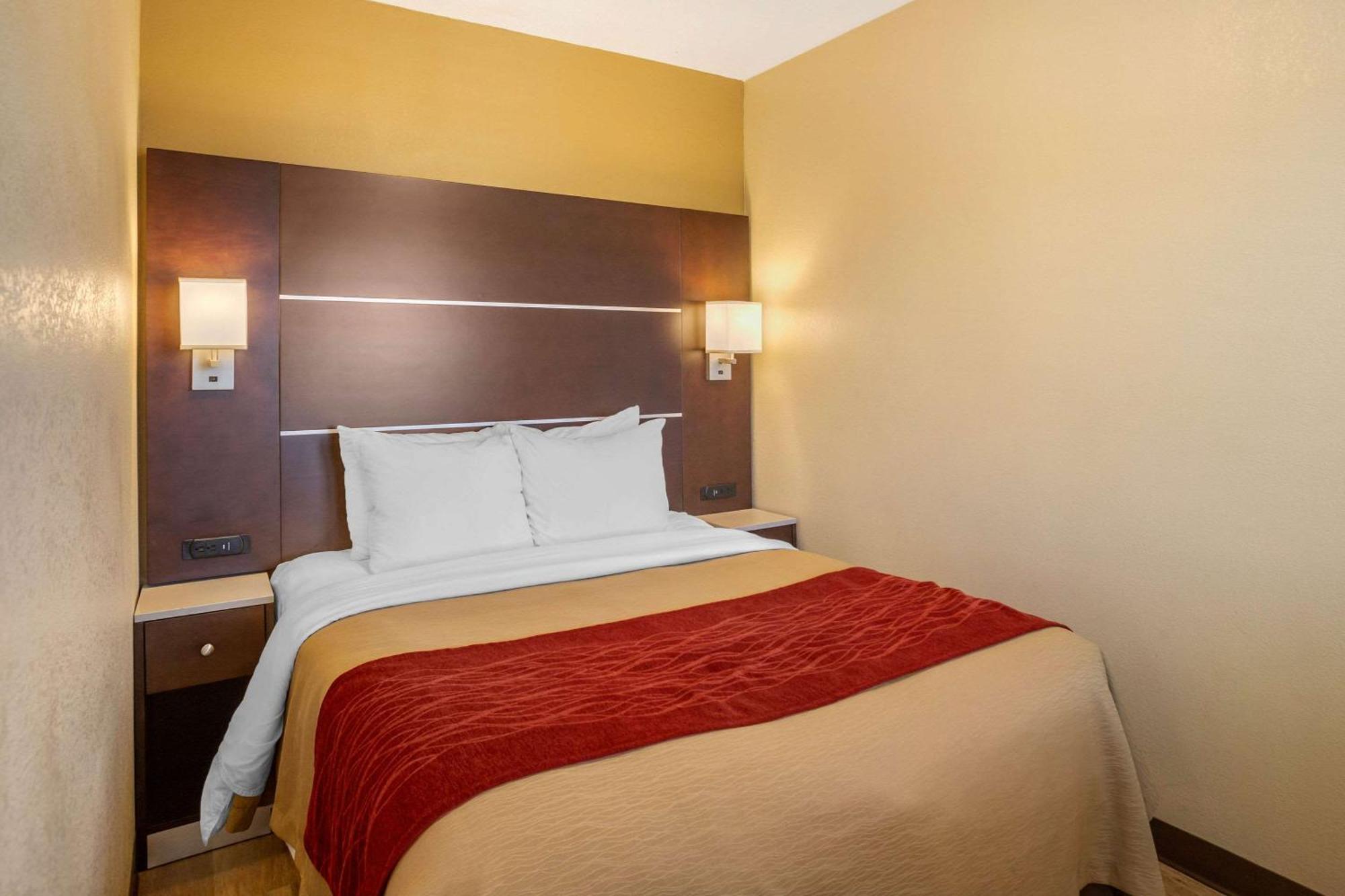 Standard Room 1 King Bed Non Smoking