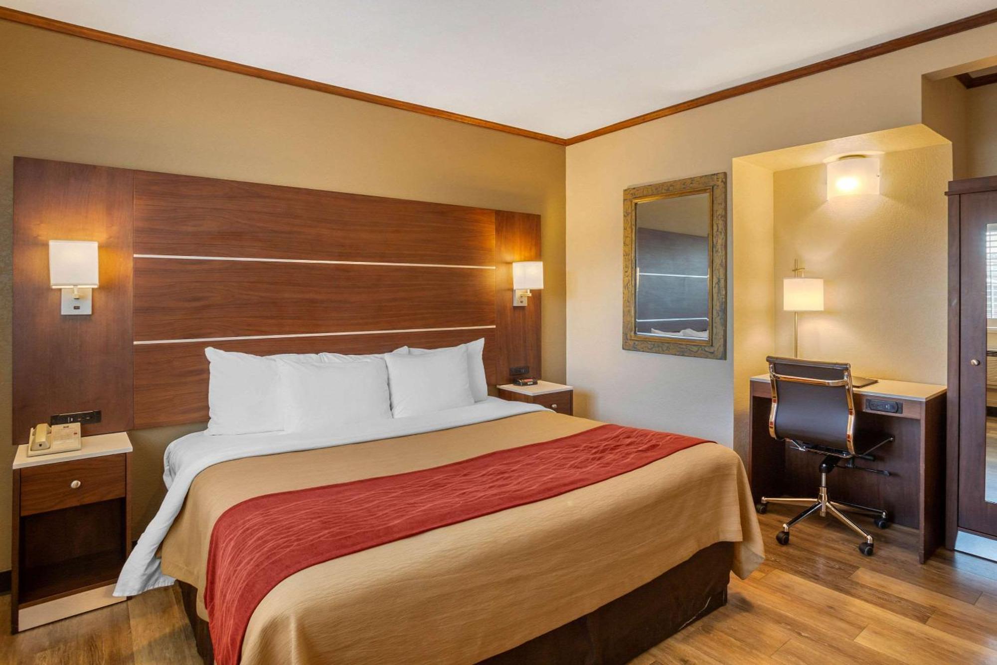 Accessible Room 1 King Bed Roll Shower Non Smoking