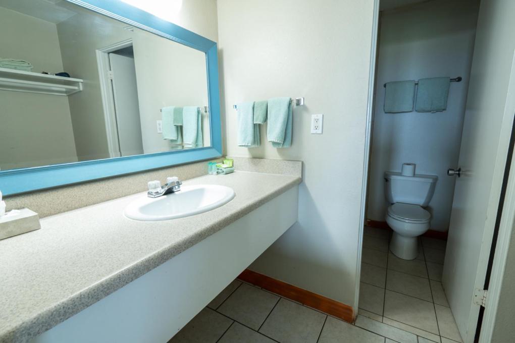 Suite Ocean View