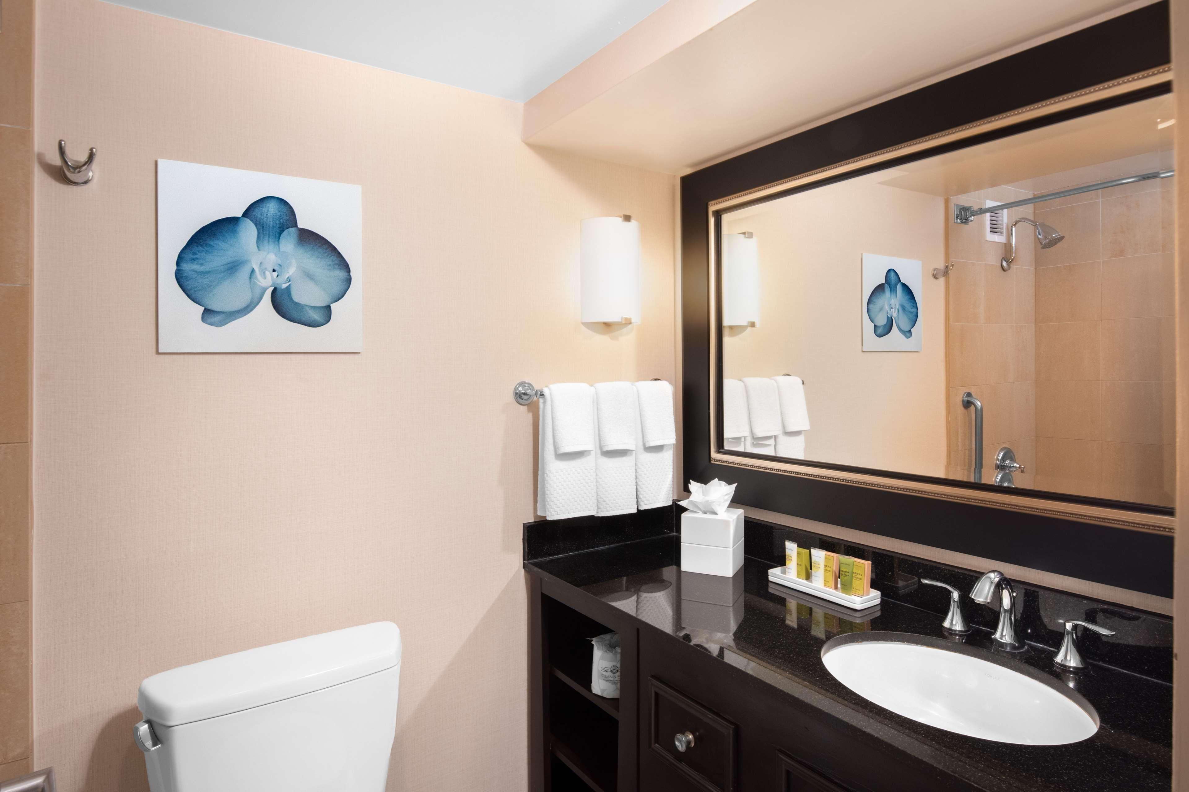 One-Bedroom King Suite Harbor View